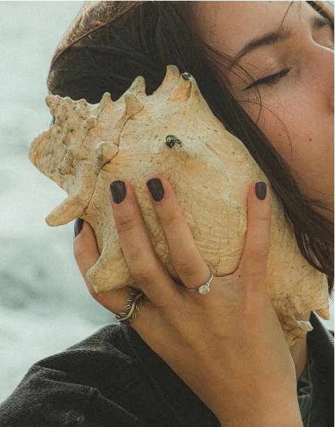 Denis Trushtin pexels Sea Shell